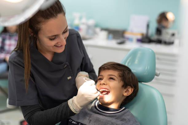 Best Root Canal Emergency Dentist  in St Petersburg, FL